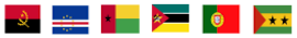 20210612 bandeiras paises org sociedd civil