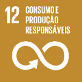 Objetivos de Desenvolvimento Sustentável - Objetivo 12. Assegurar padrões de produção e de consumo sustentáveis