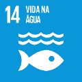 ods_14_small Objectivos de Desenvolvimento Sustentável