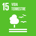 Objetivos de Desenvolvimento Sustentável - Objetivo 15. Proteger, recuperar e promover o uso sustentável dos ecossistemas terrestres, gerir de forma sustentável as florestas, combater a desertificação, deter e reverter a degradação da terra e deter a perda de biodiversidade