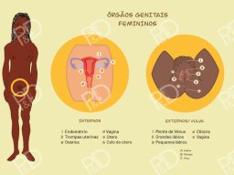 kit-album-pedagogico-pdfactor-prancha-03-orgaos-sexuais-femininos-800x566