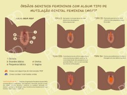 kit-album-pedagogico-pdfactor-prancha-05-mgf-800x566