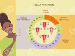 kit-album-pedagogico-pdfactor-prancha-06-ciclo-menstrual-800x566