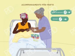 kit-album-pedagogico-pdfactor-prancha-12-acompanhamento-gravidez-800x566